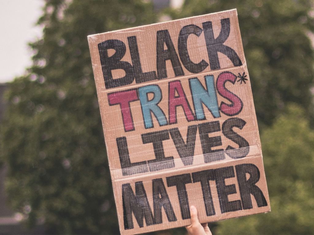 A person holds a cardboard sign that reads "Black Trans Lives Matter" with the word "Trans" written in blue and pink letters. Trees are visible in the background. - PsychDiscouse