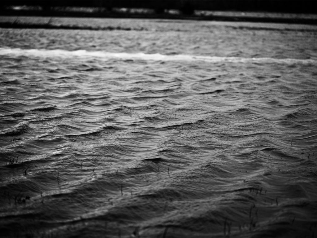 Close-up view of small waves on the surface of a body of water, captured in black and white. - PsychDiscouse