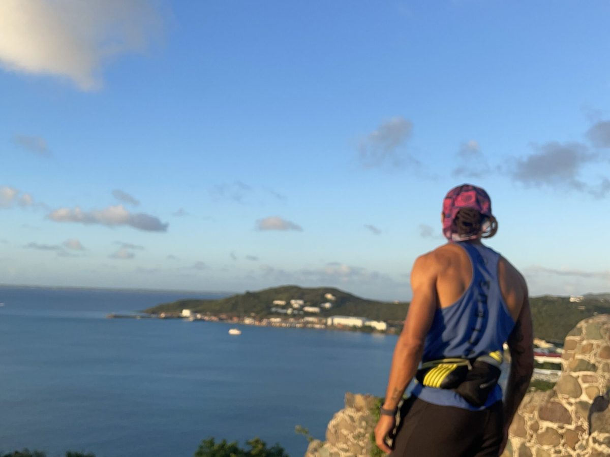 A person wearing a blue tank top and patterned head covering stands on a rocky overlook, facing a bay and distant coastline. - PsychDiscouse